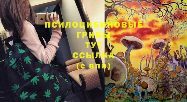 каннабис Баксан