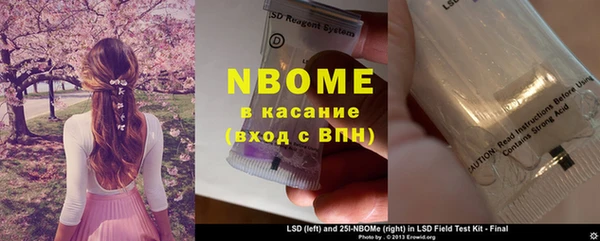 твердый Протвино
