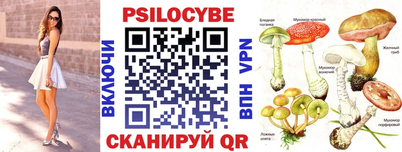 хочу наркоту  Семилуки  Псилоцибиновые грибы мухоморы 